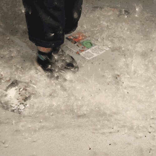 Milkweed plumes floating through the air like dust or snow as visitors interact with them