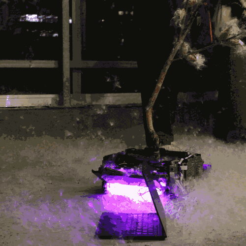 Grow lights diffusing in milkweed fluff and illuminating a ThinkPad running Linux