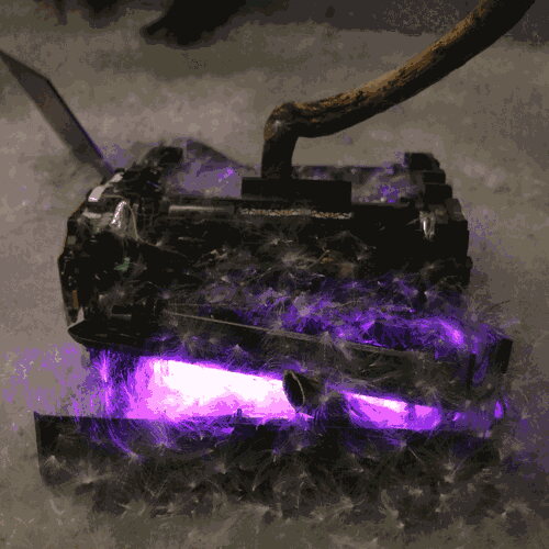 Plant 2 being buried in milkweed plumes