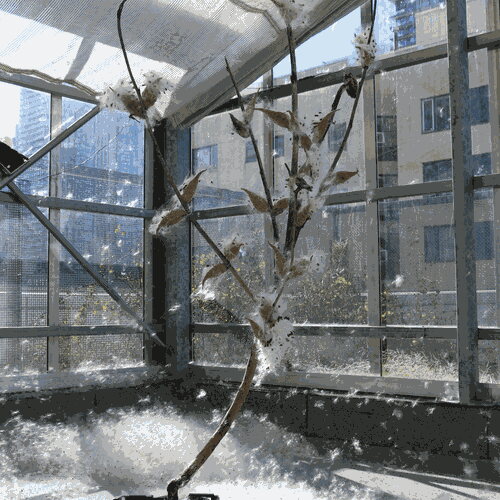 Plant 2 Vertical Turbine installation view