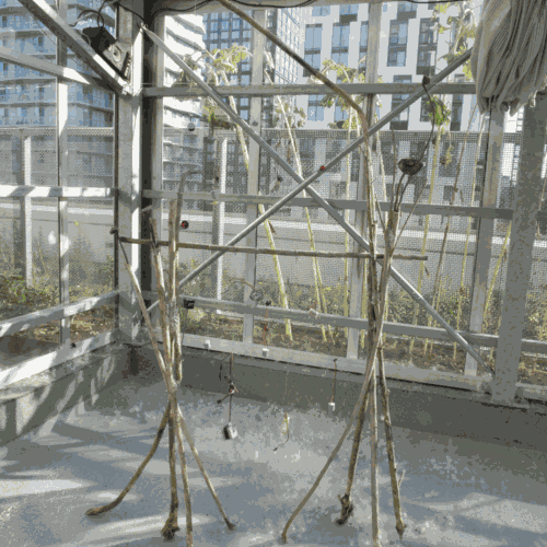Resource Exchange Node with motors and seeds