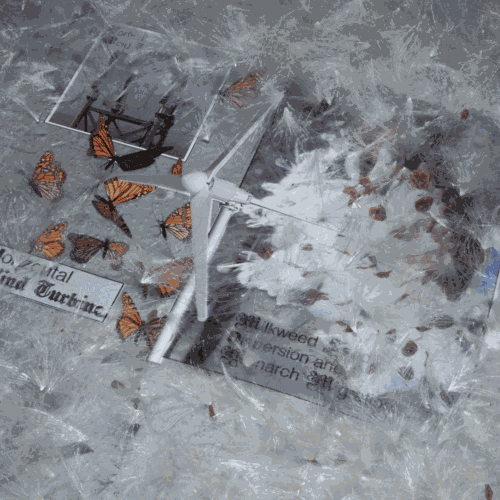 Slides partially buried in milkweed plumes