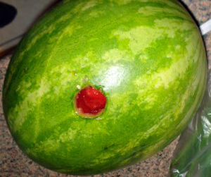 watermelon with hole in it